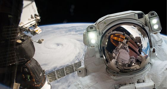 Первая фотография презентации